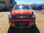 Ford Escape 2014