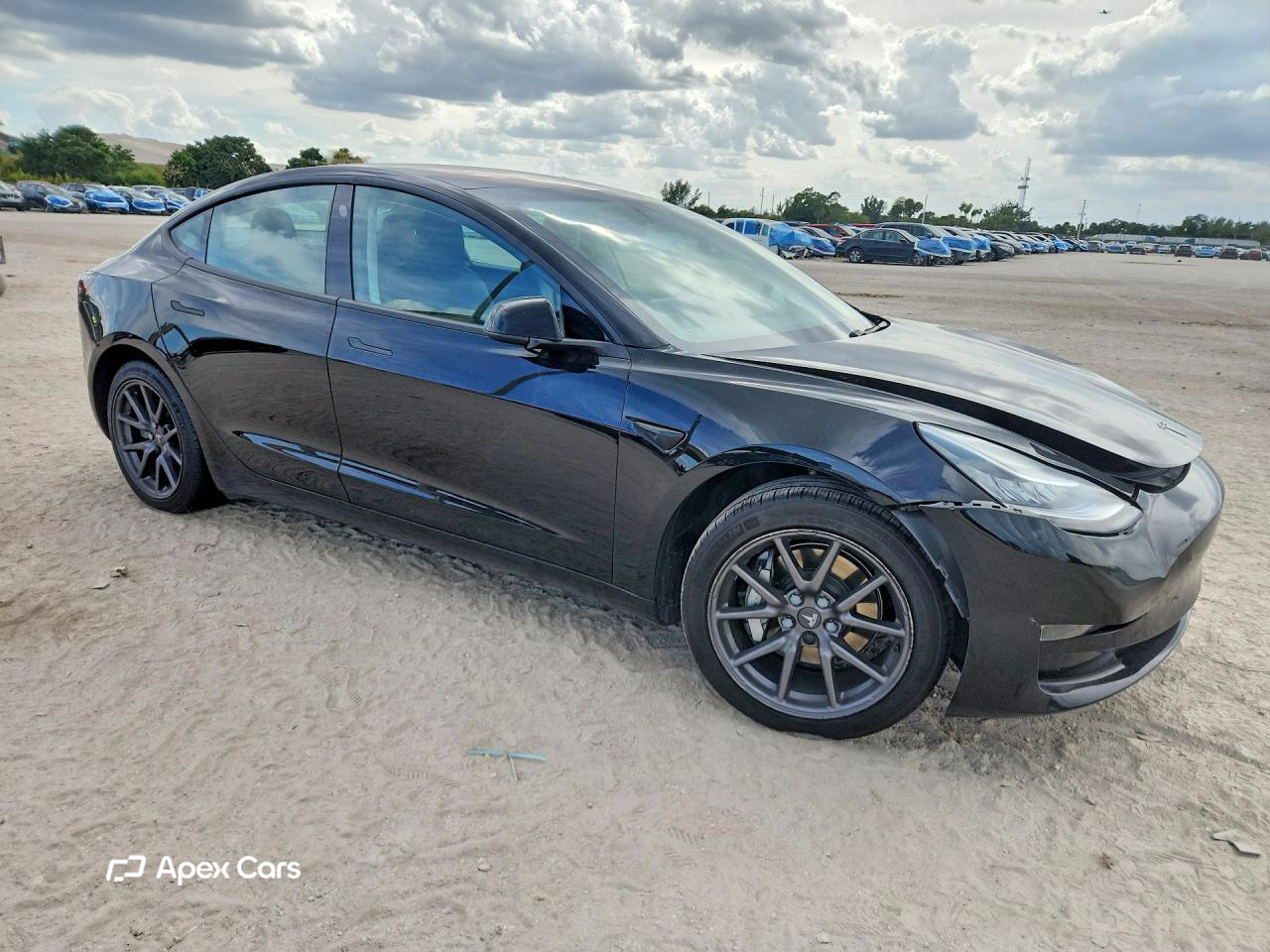 Tesla Model 3 2019