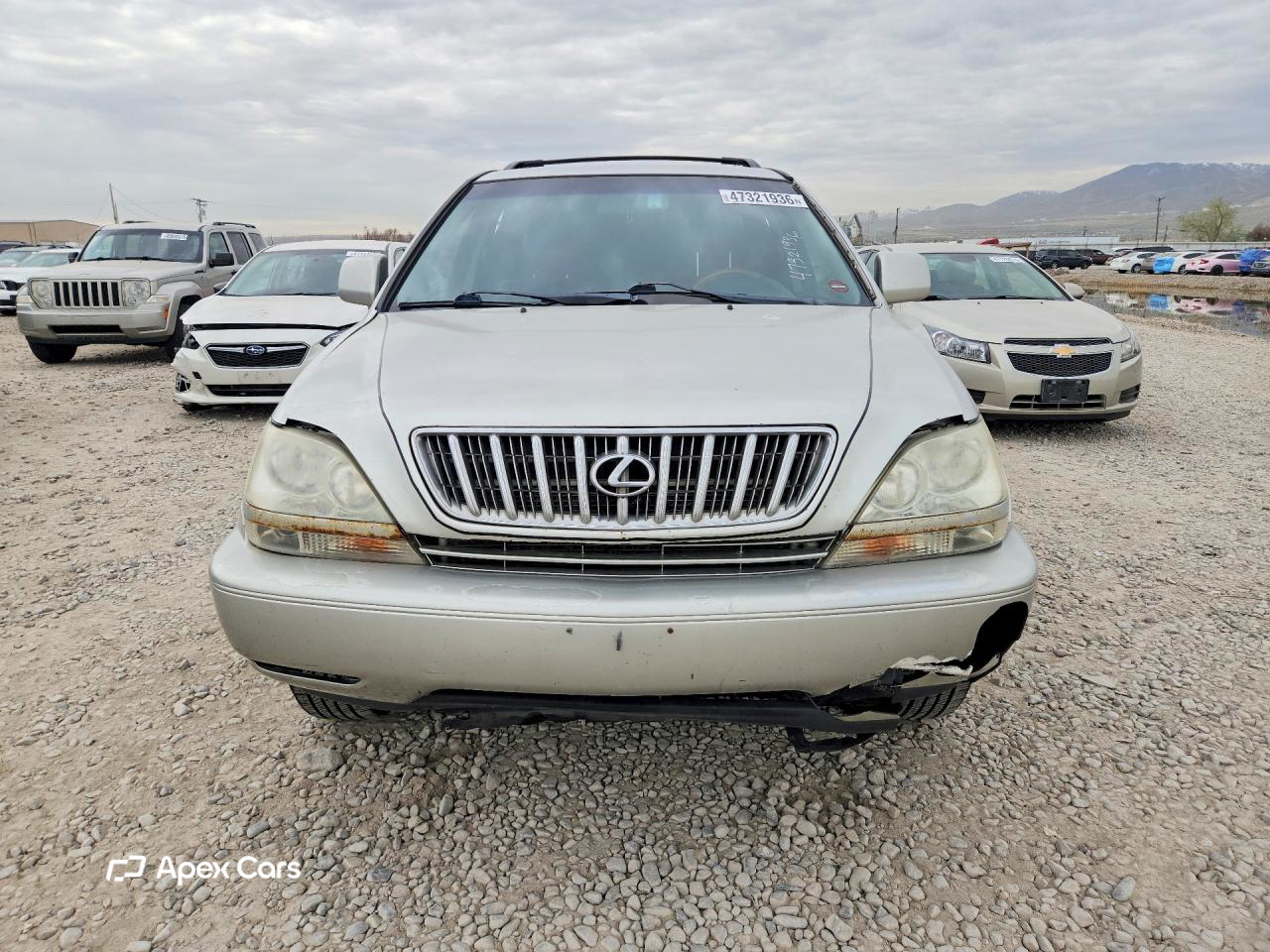 Lexus RX 2002