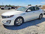 Kia  2015