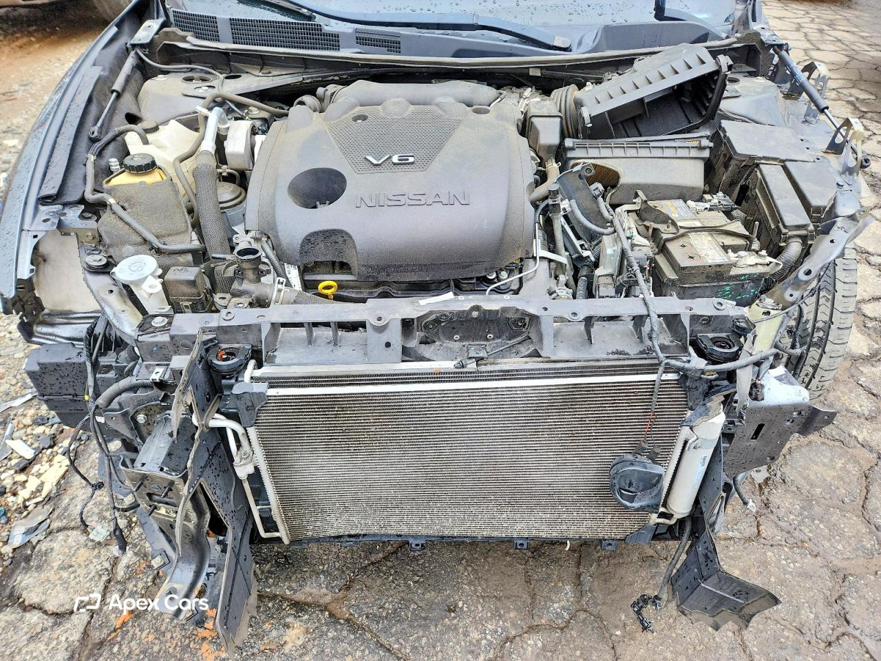 Nissan Maxima 2019