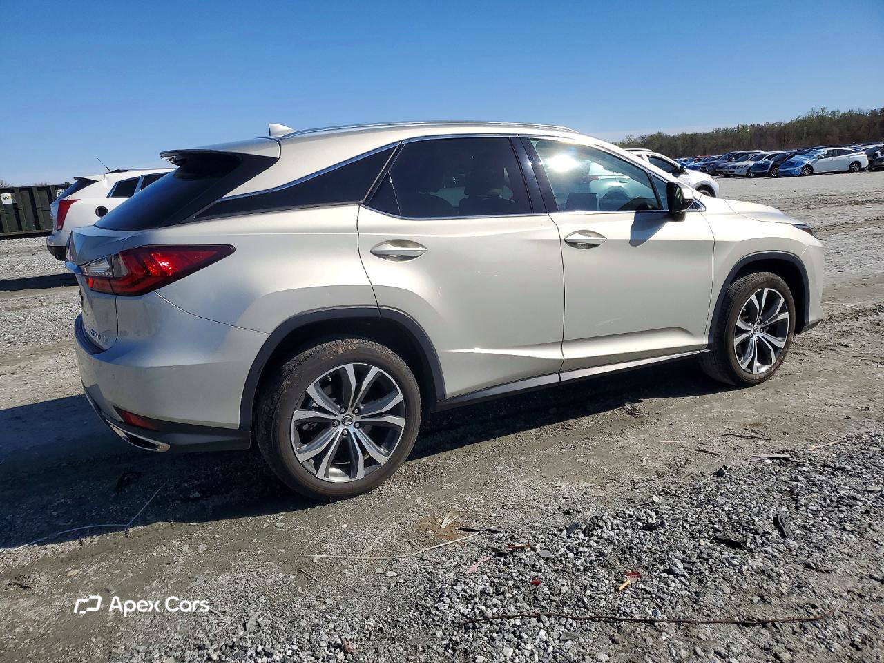 Lexus RX 2021