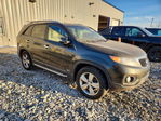 Kia Sorento 2013