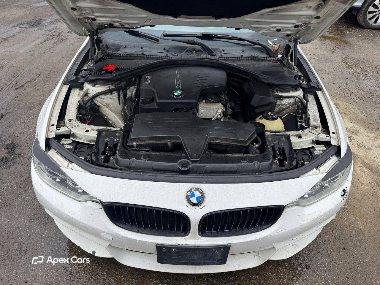 BMW Series 4 2015