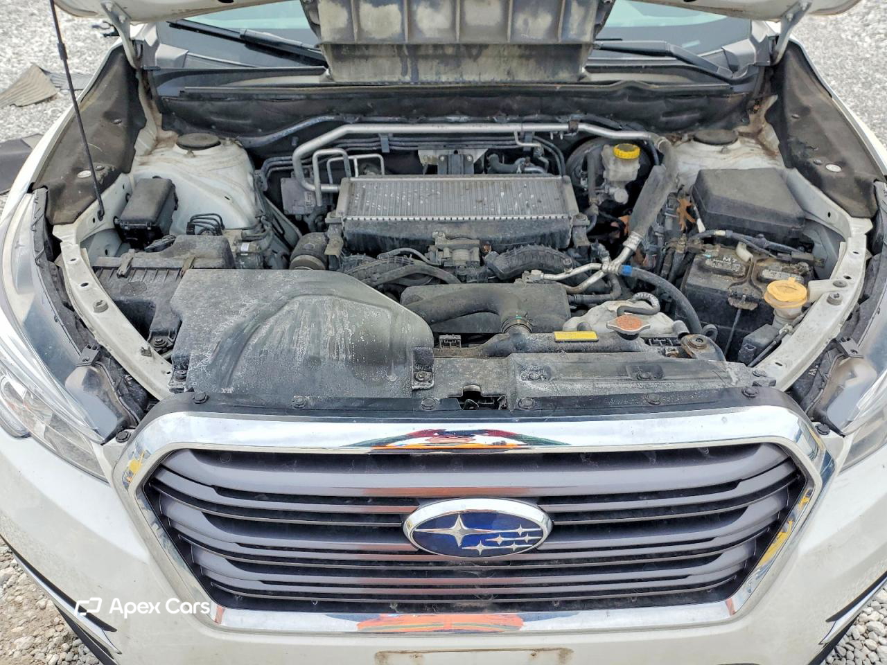 Subaru Ascent 2019