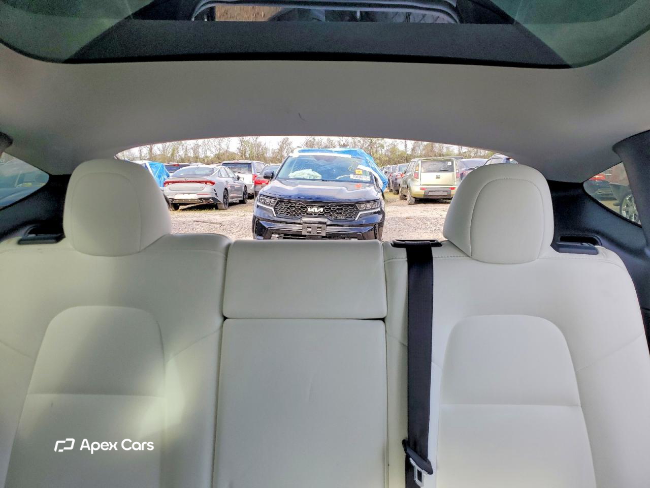 Tesla Model Y 2023