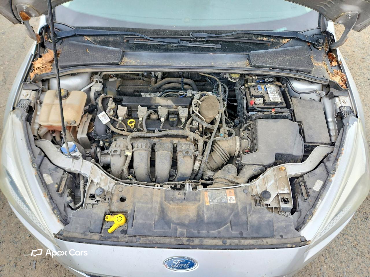 Ford Focus 2016