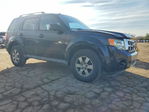 Ford Escape 2010