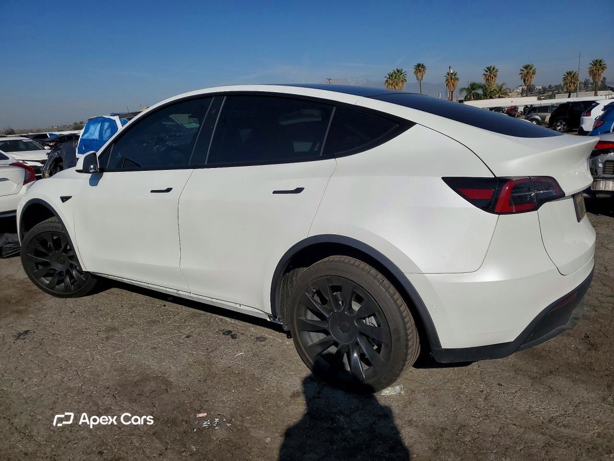 Tesla Model Y 2020