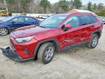 Toyota RAV 4 2024