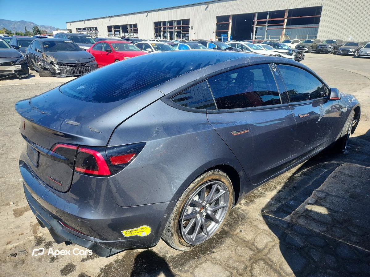 Tesla Model 3 2019