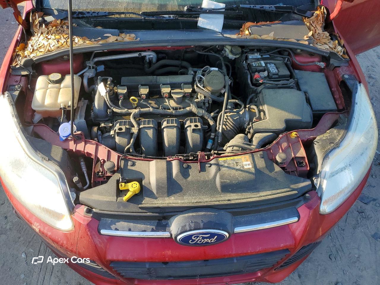 Ford Focus 2013