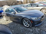 BMW Series 4 2015