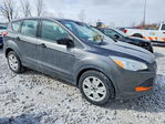 Ford Escape 2016