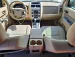 Ford Escape 2011