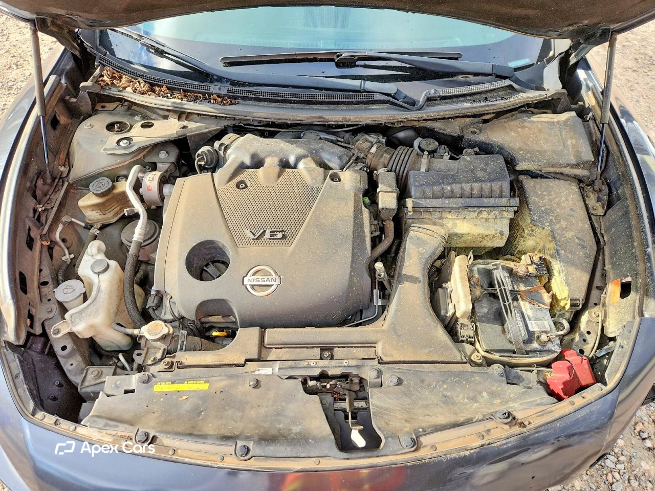 Nissan Maxima 2012