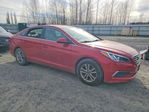 Hyundai Sonata 2017