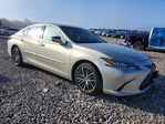 Lexus ES 2024