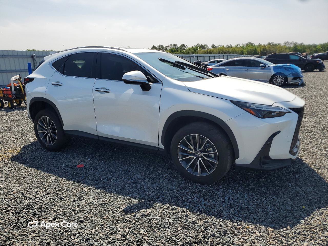 Lexus NX 2024