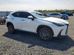 Lexus NX 2024