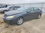 Lexus ES 2008