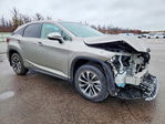 Lexus RX 2022