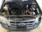 Ford Escape 2010
