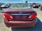 Lexus ES 2008