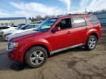 Ford Escape 2010