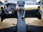 Lexus NX 2019
