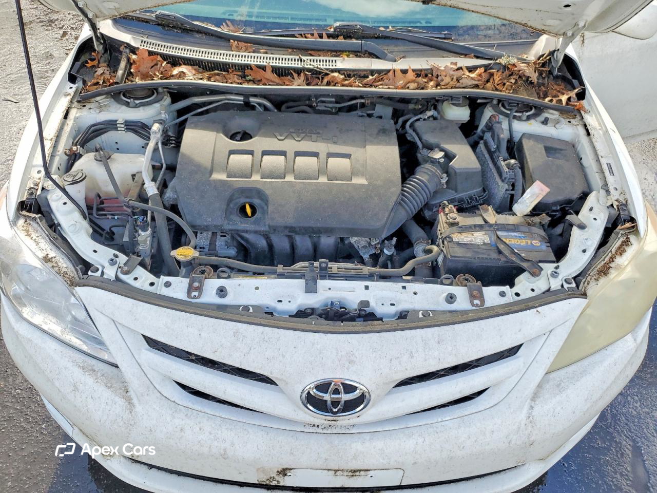 Corolla 2011