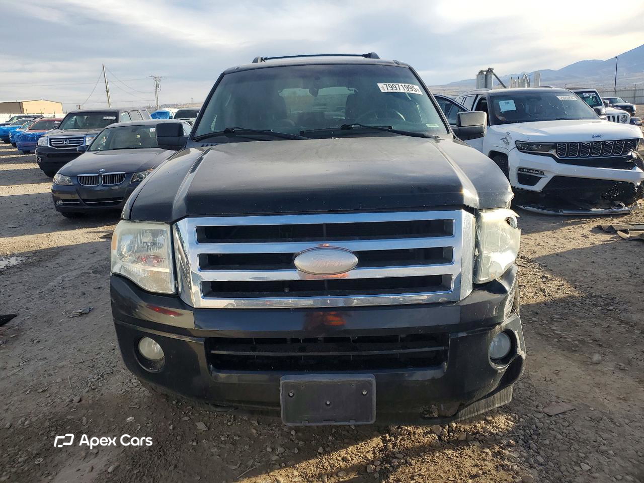 Ford Expedition 2008