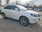 Lexus RX 2013