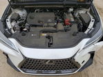 Lexus NX 2023