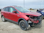 Ford Escape 2015