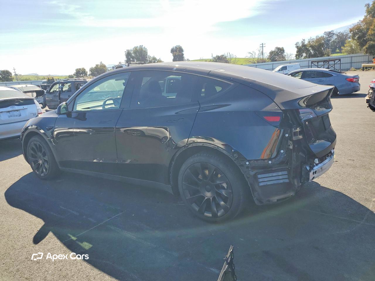 Tesla Model Y 2021