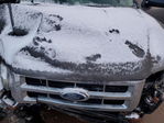Ford Escape 2009