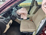 Honda Accord 2013