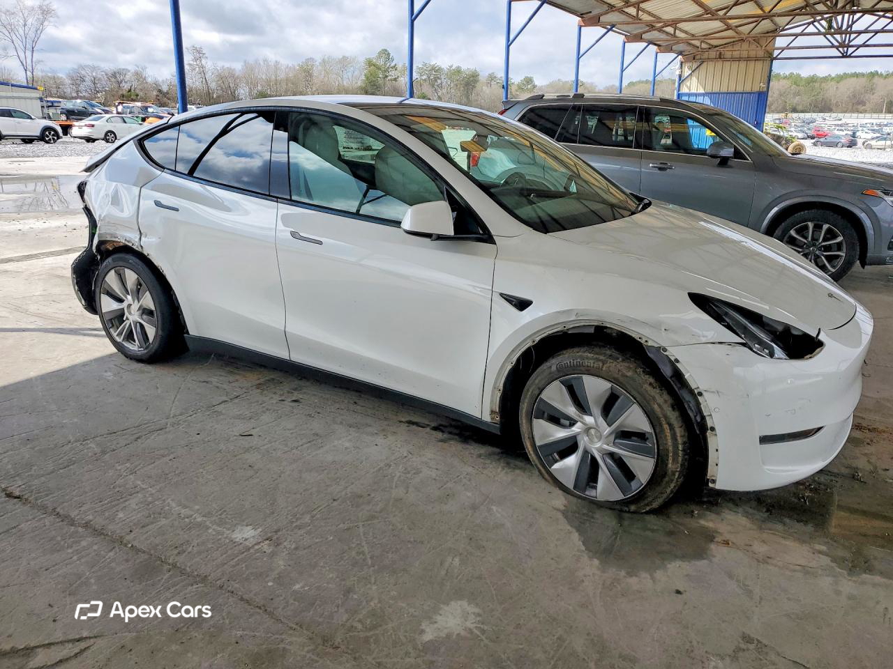 Tesla Model Y 2021