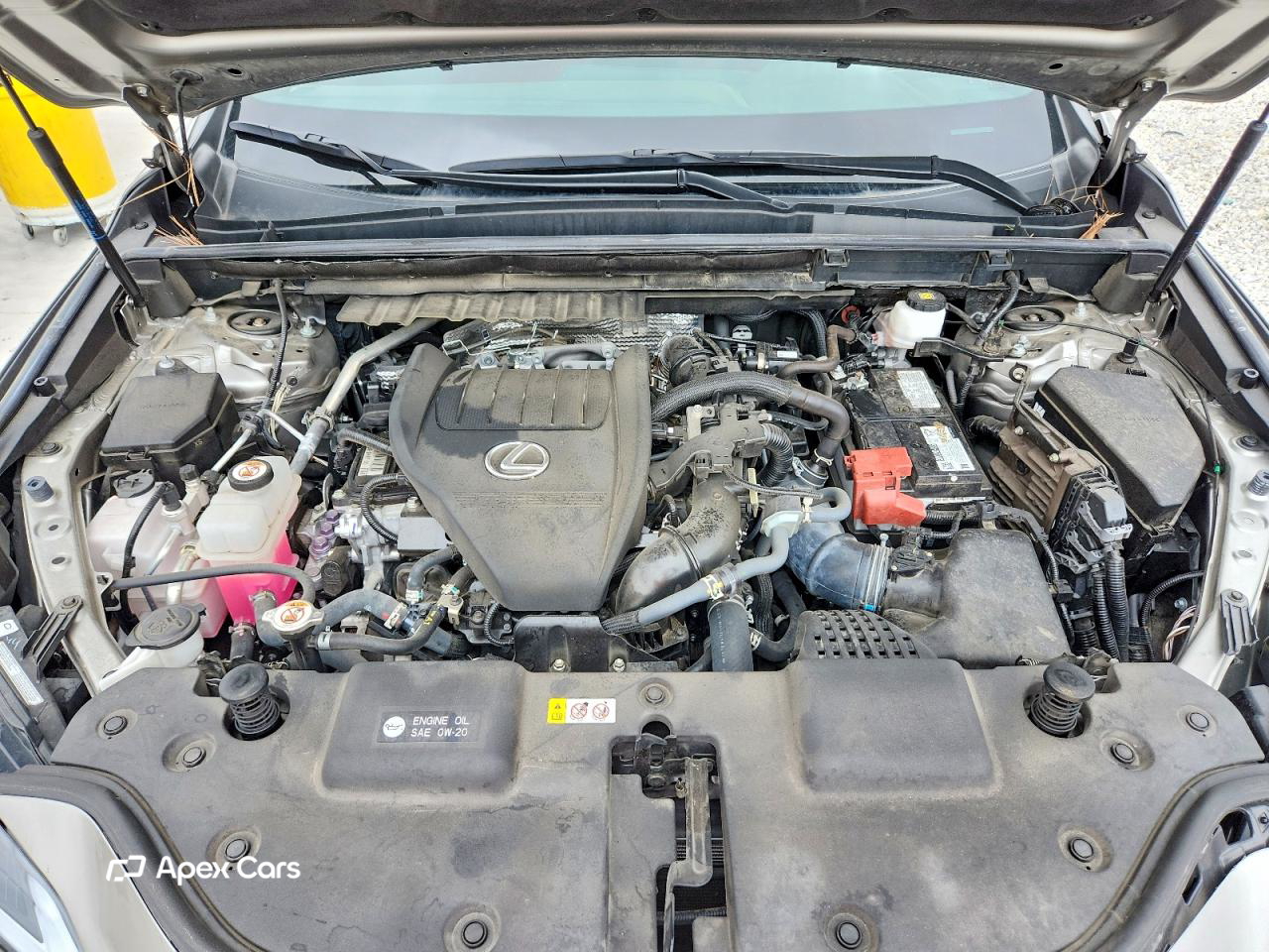 Lexus NX 2024