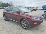Lexus RX 2013
