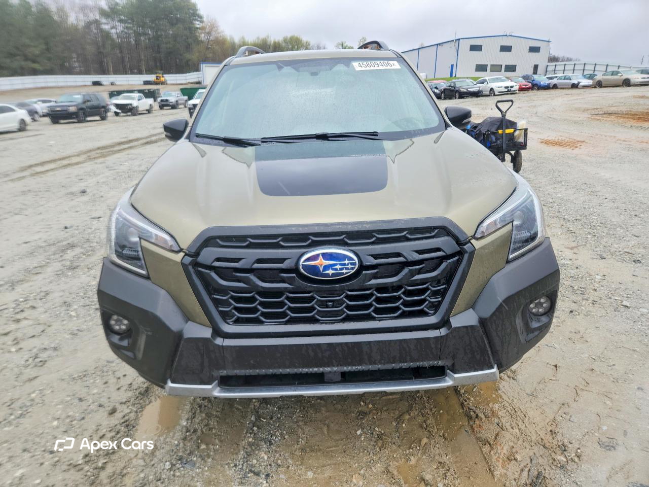 Subaru Forester 2024