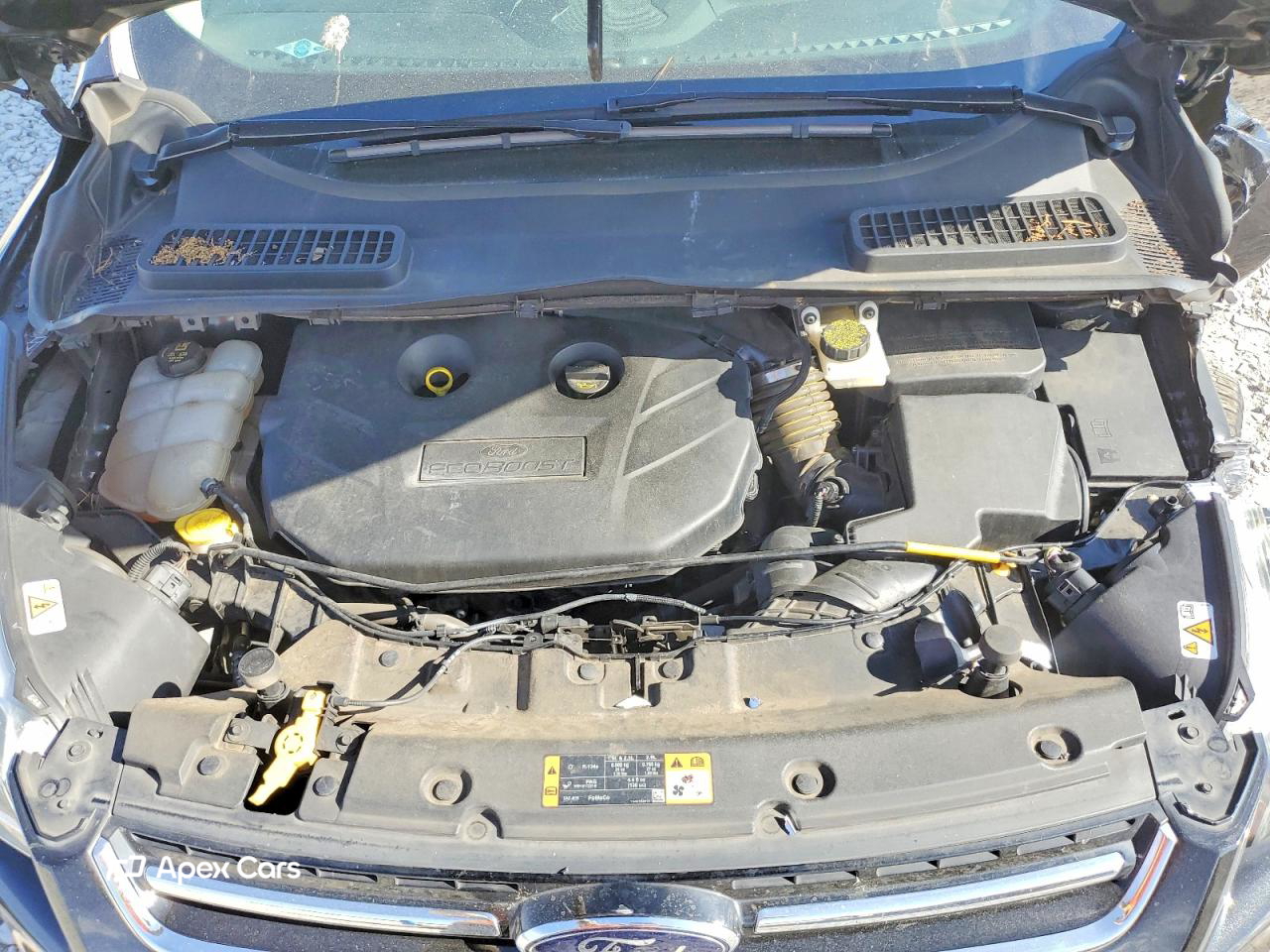Ford Escape 2014