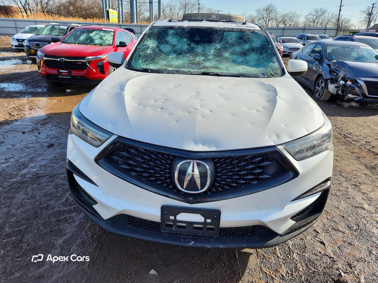 Acura RDX 2021