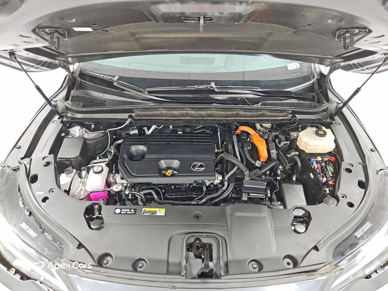 Lexus RX 2024