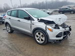 Ford Escape 2014