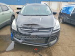Ford Escape 2016