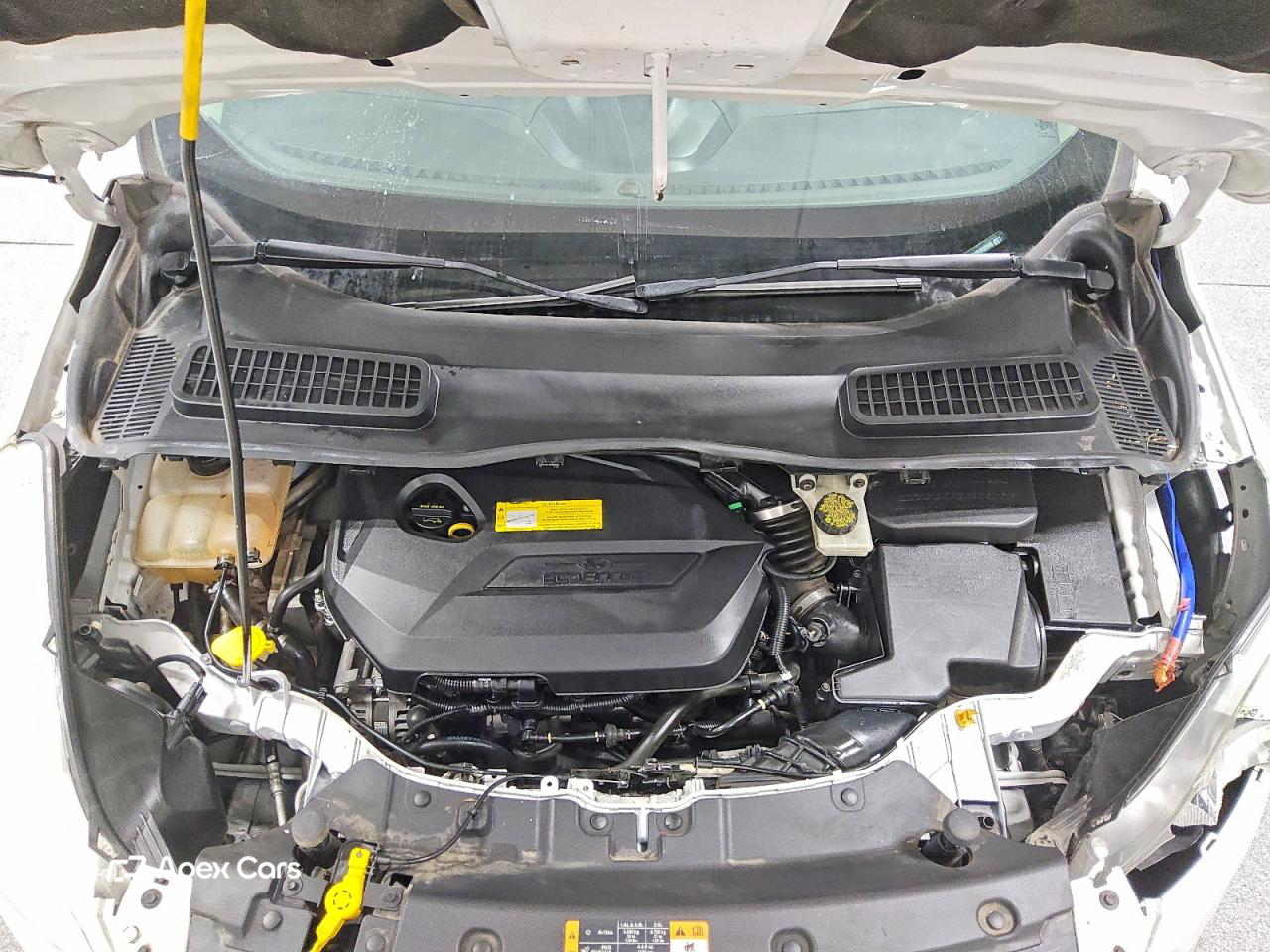 Ford Escape 2015