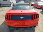 Ford Mustang 2019