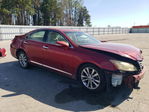 Lexus ES 2010